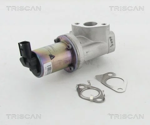 Ventil EGR TRISCAN 8813 43021