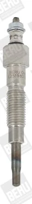 Žarilni svečnik BorgWarner (BERU) GN075