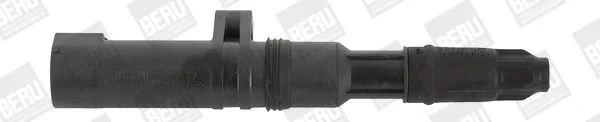 Vžigalna tuljava BorgWarner (BERU) ZS052