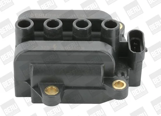 Ignition Coil BorgWarner (BERU) ZS325