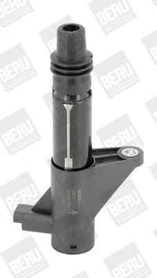 Vžigalna tuljava BorgWarner (BERU) ZS347