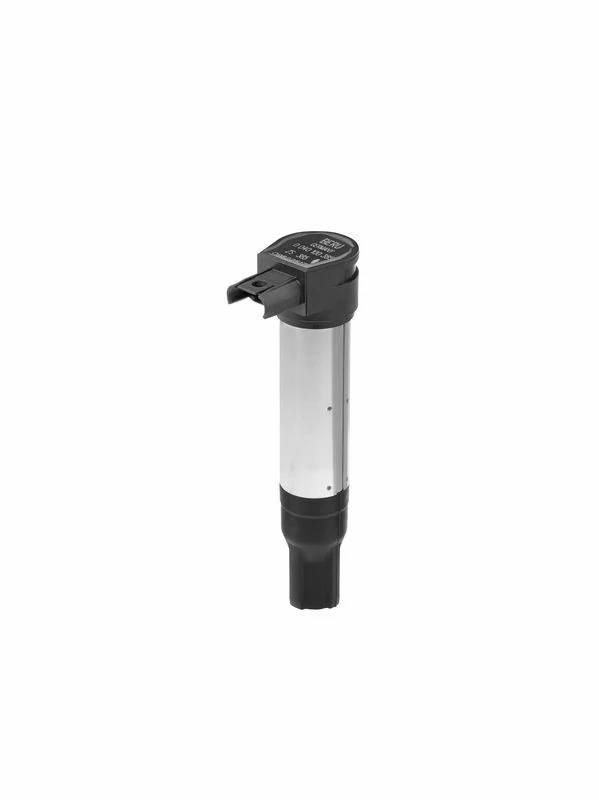 Ignition Coil BorgWarner (BERU) ZS385