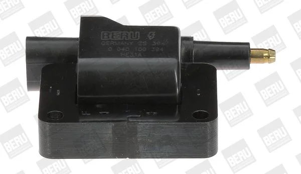 Ignition Coil BorgWarner (BERU) ZS394