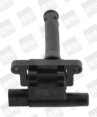 Vžigalna tuljava BorgWarner (BERU) ZS501