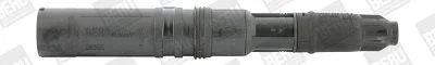 Vžigalna tuljava BorgWarner (BERU) ZS552