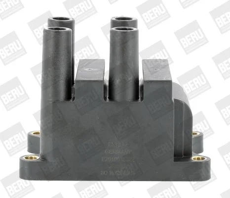 Ignition Coil BorgWarner (BERU) ZS556