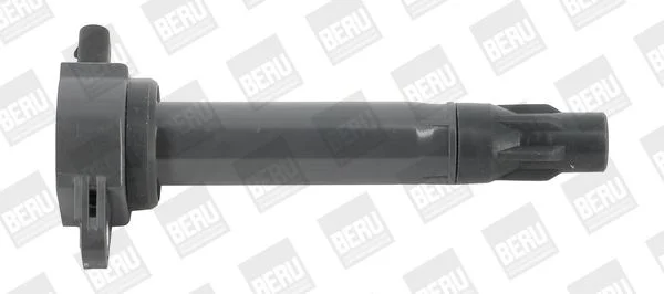 Ignition Coil BorgWarner (BERU) ZS562