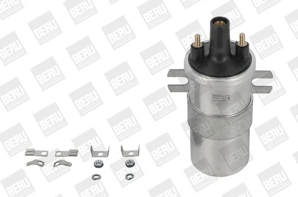 Ignition Coil BorgWarner (BERU) ZS568