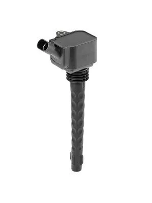 Vžigalna tuljava BorgWarner (BERU) ZS573