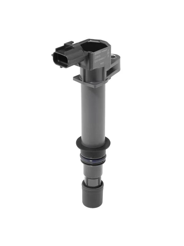 Vžigalna tuljava BorgWarner (BERU) ZS605