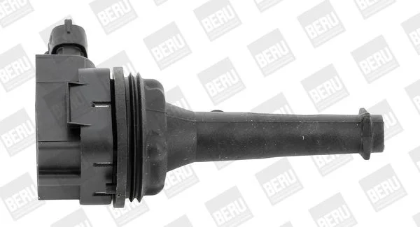 Vžigalna tuljava BorgWarner (BERU) ZSE019