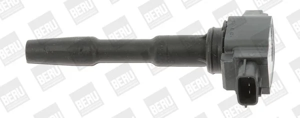 Ignition Coil BorgWarner (BERU) ZSE131