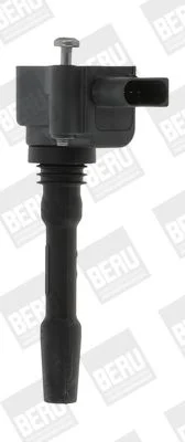 Vžigalna tuljava BorgWarner (BERU) ZSE163