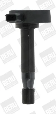 Ignition Coil BorgWarner (BERU) ZSE166