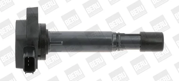 Ignition Coil BorgWarner (BERU) ZSE170