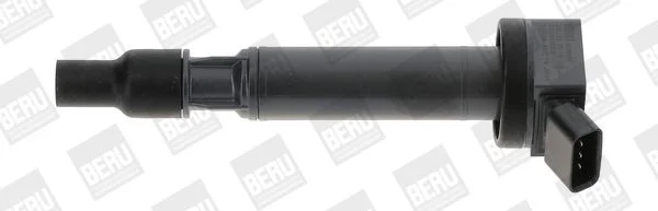 Ignition Coil BorgWarner (BERU) ZSE192