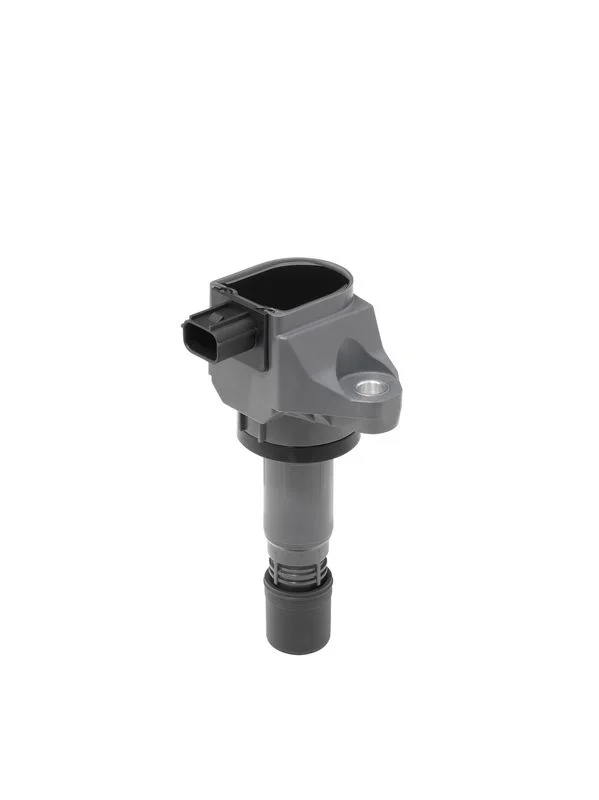 Vžigalna tuljava BorgWarner (BERU) ZSE240