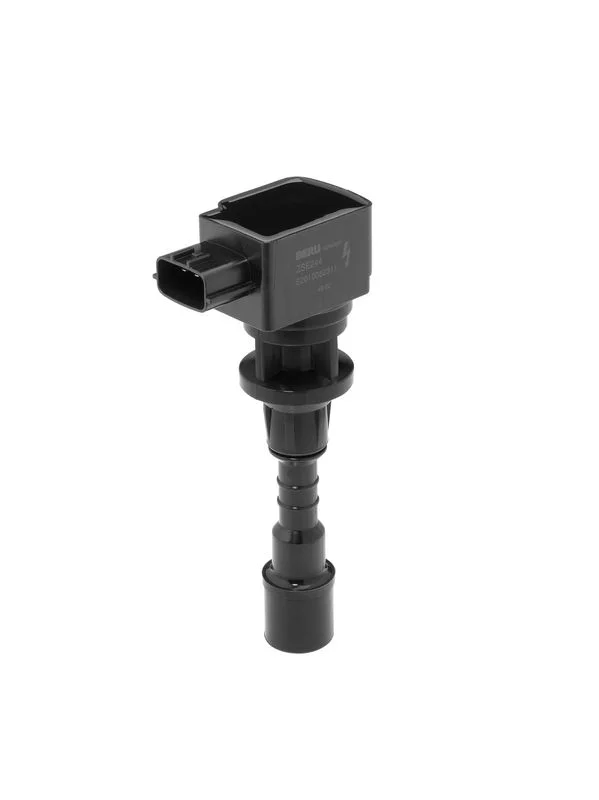Ignition Coil BorgWarner (BERU) ZSE244
