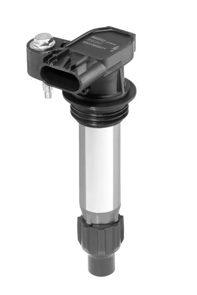 Vžigalna tuljava BorgWarner (BERU) ZSE252
