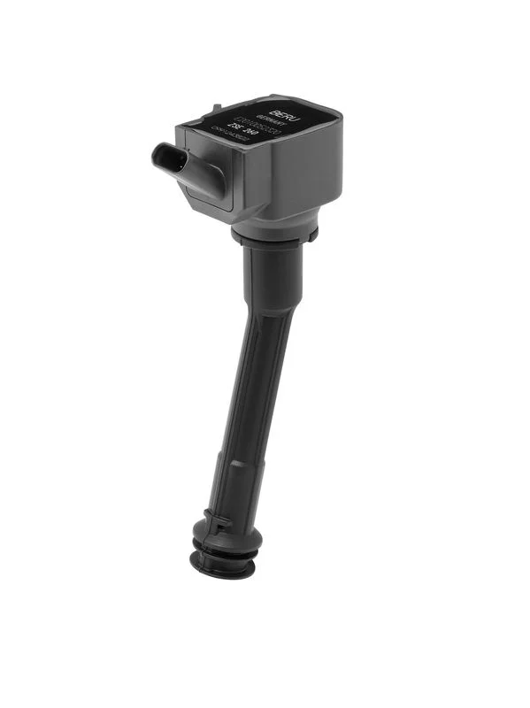Vžigalna tuljava BorgWarner (BERU) ZSE260