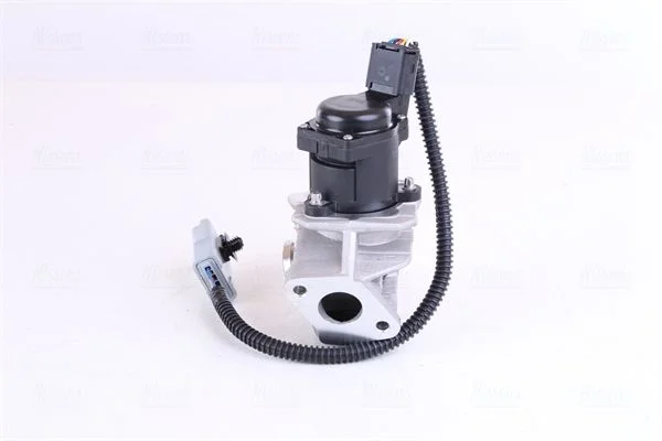 Ventil EGR NISSENS 98244