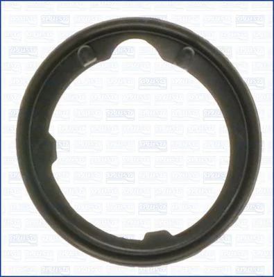 Tesnilo, termostat AJUSA 00668400