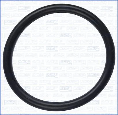 Gasket, coolant pipe AJUSA 16021400