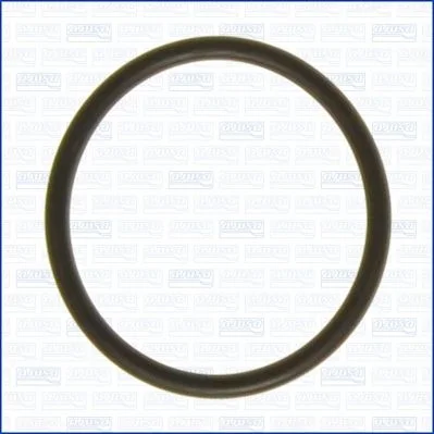 Seal, thermostat AJUSA 16072700