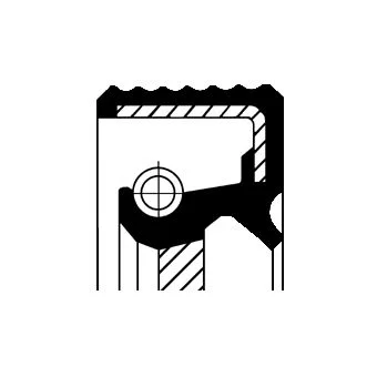 Shaft Seal, crankshaft CORTECO 15031987B