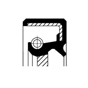 Shaft Seal, crankshaft corteco 19016572