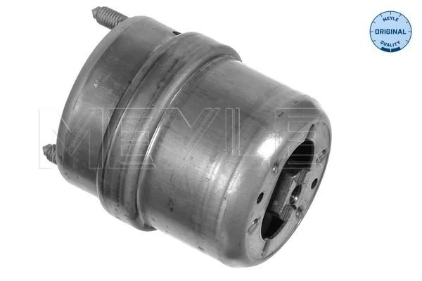 Pritrditev, motor MEYLE 100 199 0075