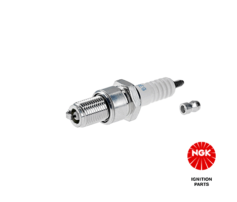 Spark Plug NGK 3830