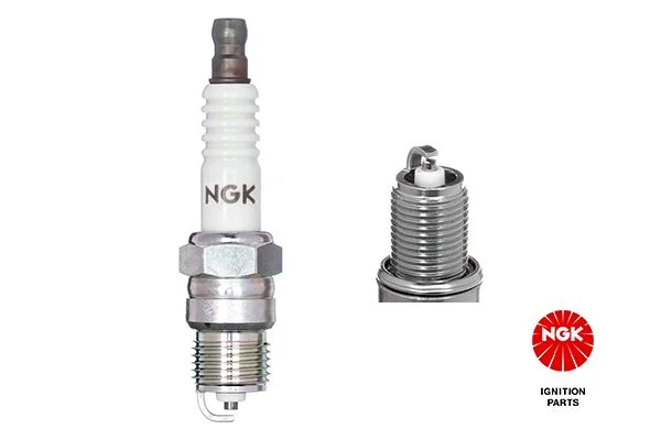 Spark Plug NGK 3928
