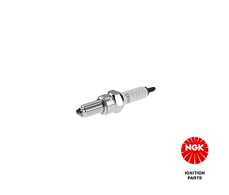 Spark Plug NGK 4548