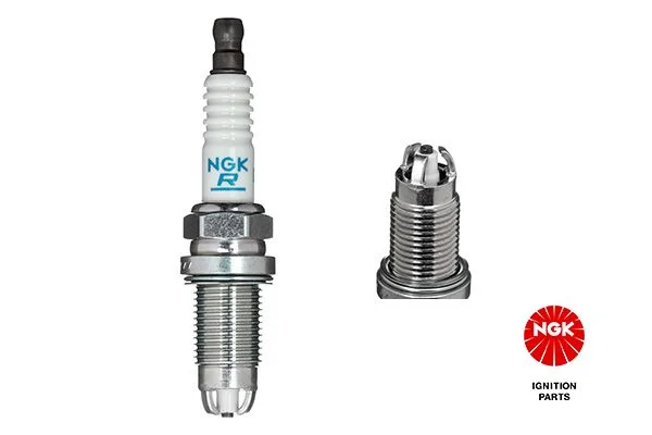 Spark Plug NGK 5548