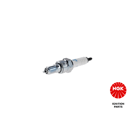 Spark Plug NGK 5666