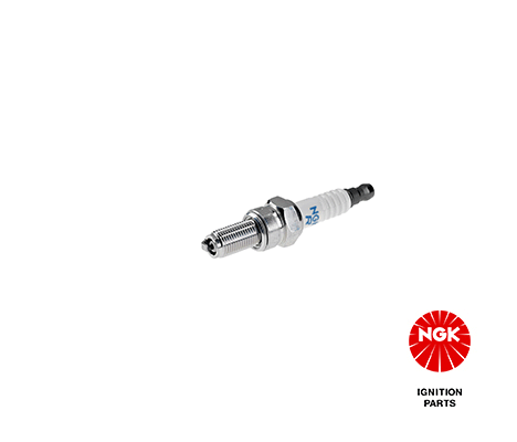 Spark Plug NGK 6955