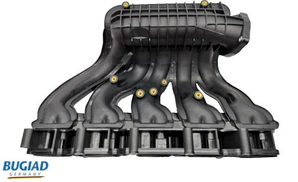 Intake Manifold Module BUGIAD BIM17005