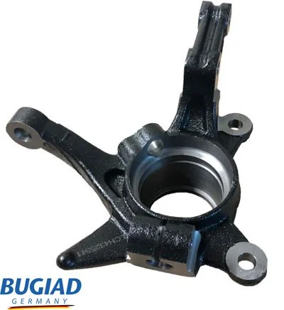 Krmilna ročica, vzmetenje kolesa BUGIAD BSP25541