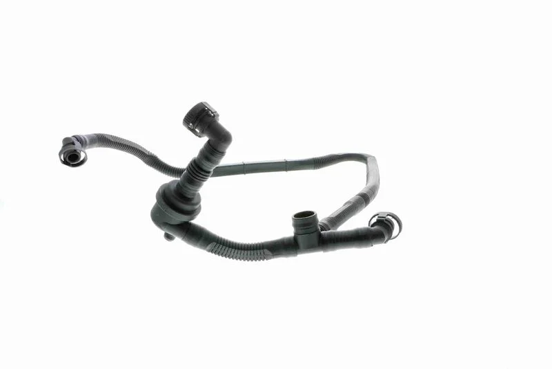 Hose, crankcase ventilation VAICO V10-2677