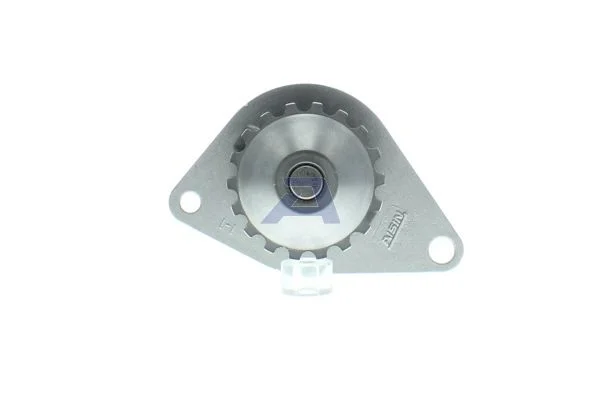 Vandens siurblys, variklio aušinimas AISIN WPPG-003V