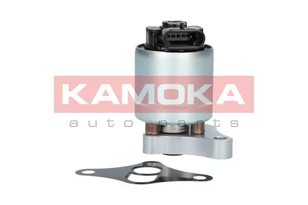 Ventil EGR KAMOKA 19002