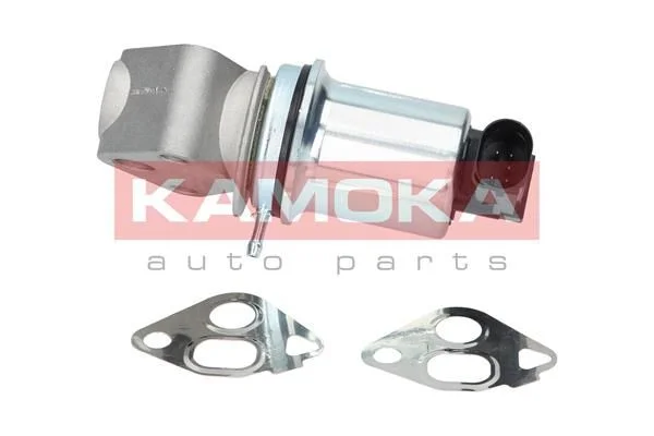 Ventil EGR KAMOKA 19006