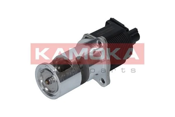 Ventil EGR KAMOKA 19009