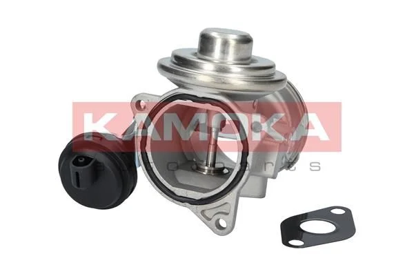 EGR Valve KAMOKA 19026