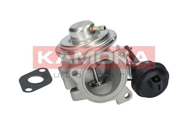 EGR Valve KAMOKA 19032