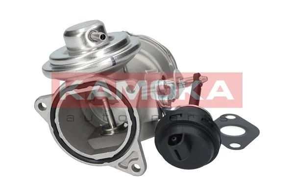 EGR Valve KAMOKA 19034