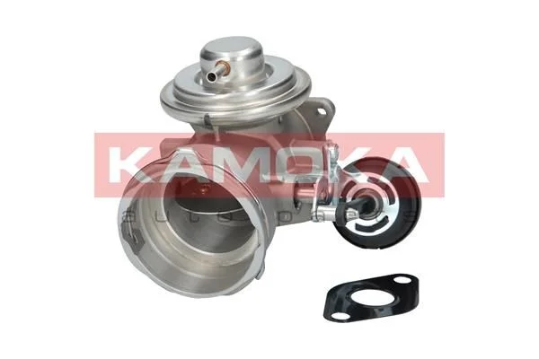 EGR Valve KAMOKA 19035