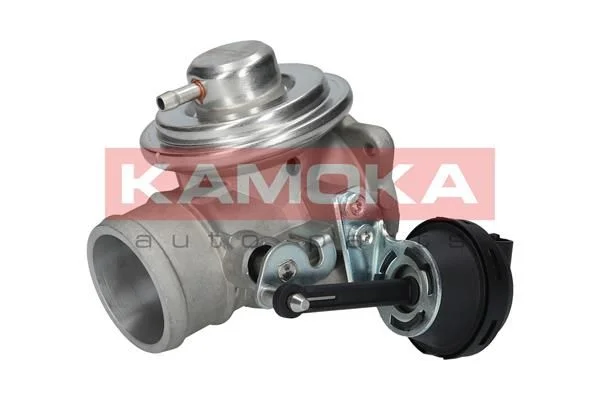 EGR Valve KAMOKA 19042