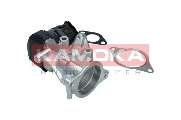 Ventil EGR KAMOKA 19046